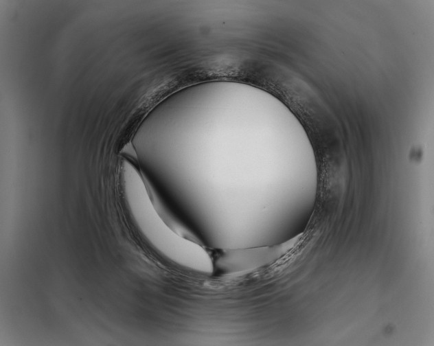 X0000097900172200804041446