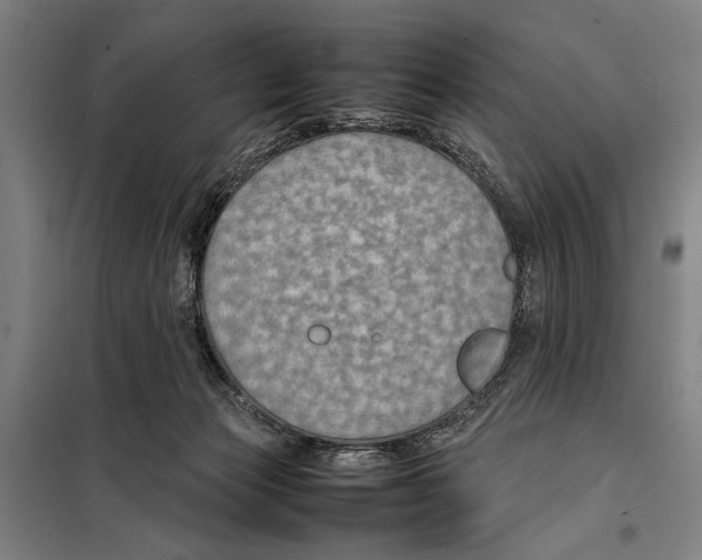 X0000097900173200804041446