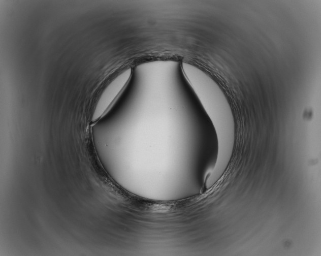 X0000097900176200804041446