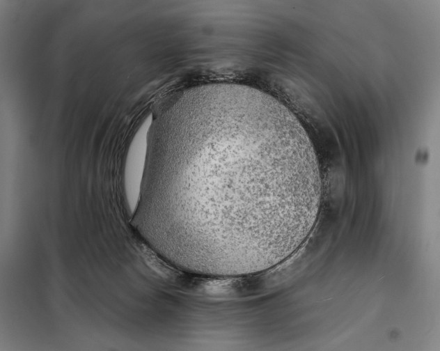 X0000097900178200804041446