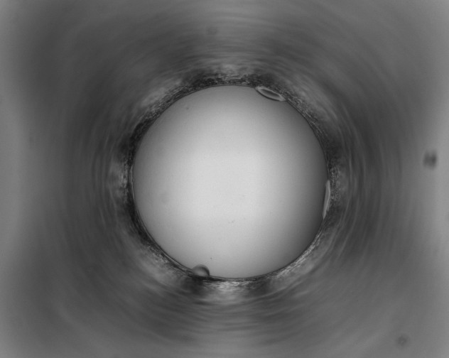 X0000097900184200804041446