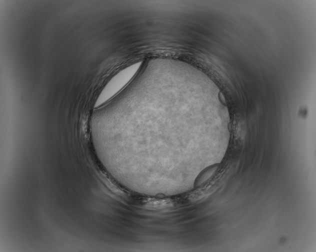 X0000097900185200804041446