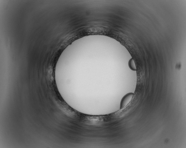 X0000097900187200804041446