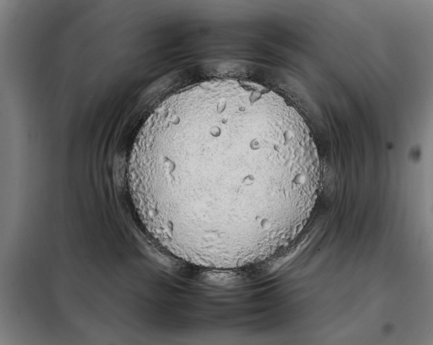 X0000097900189200804041446