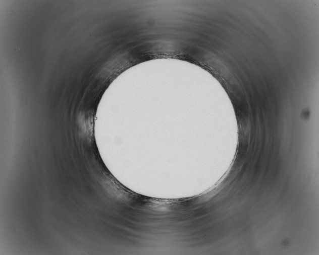 X0000097900190200804041446