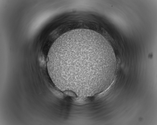 X0000097900191200804041446