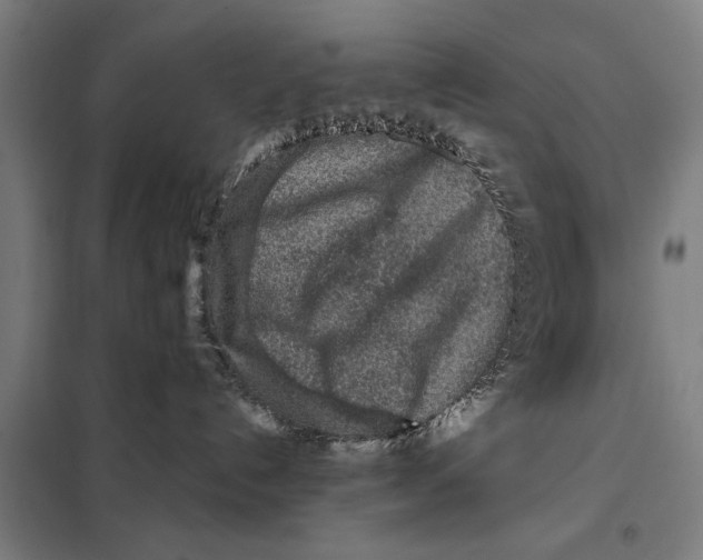 X0000097900192200804041446