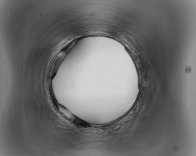 X0000097900193200804041445