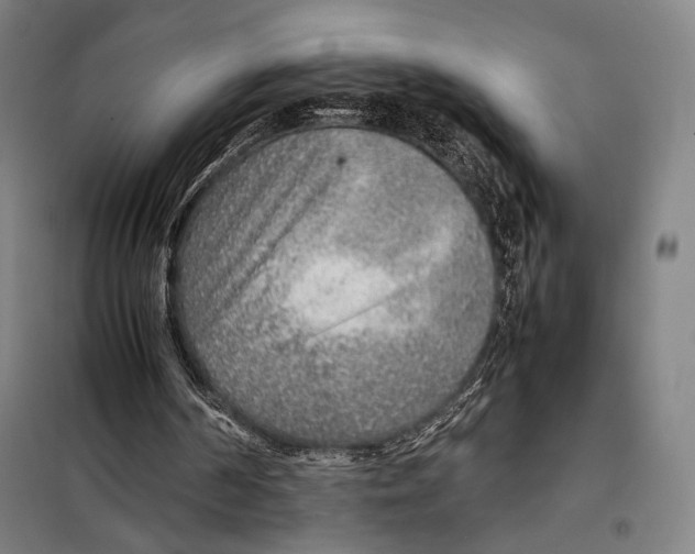 X0000097900194200804041445