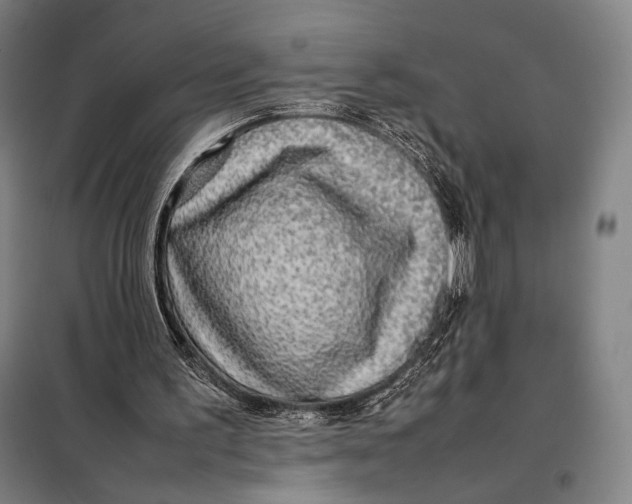 X0000097900195200804041445