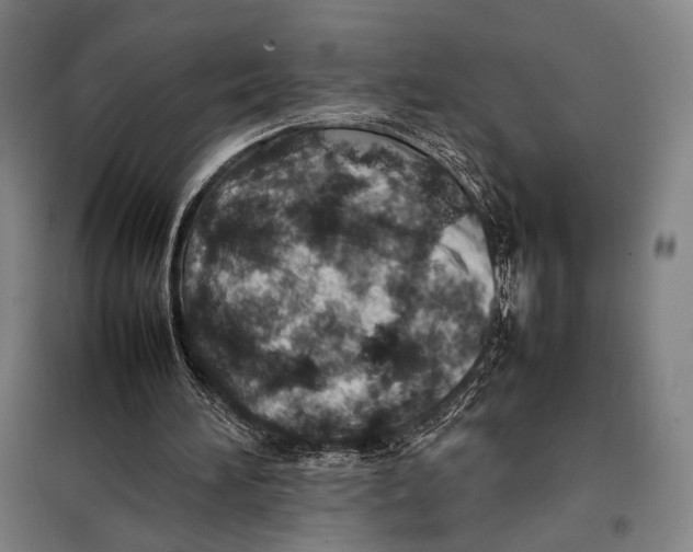 X0000097900196200804041445