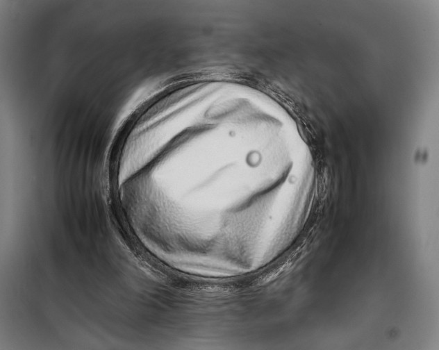 X0000097900198200804041445