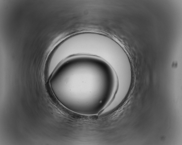 X0000097900199200804041445