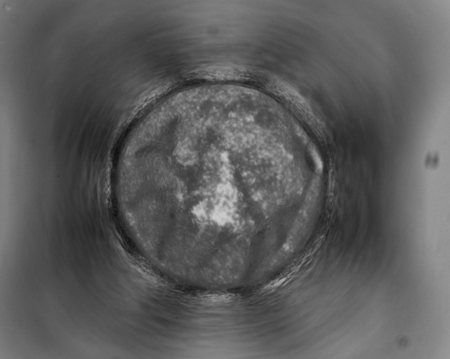 X0000097900202200804041445