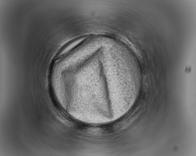 X0000097900203200804041445