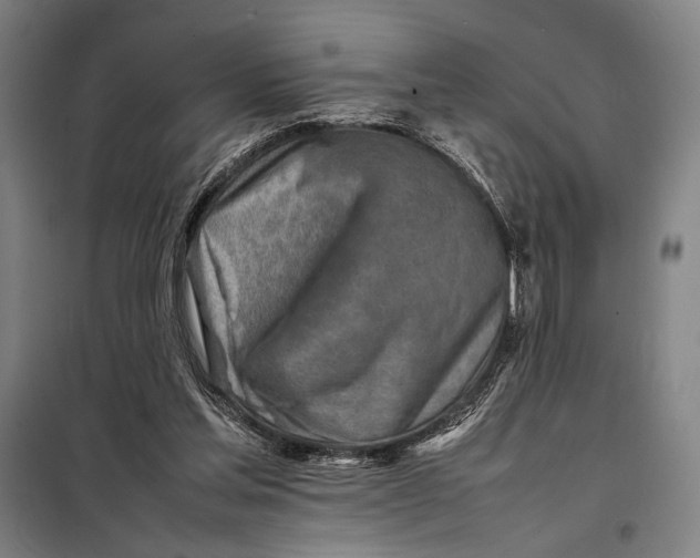 X0000097900205200804041445