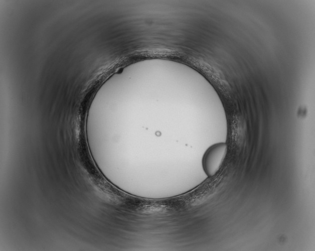 X0000097900206200804041445