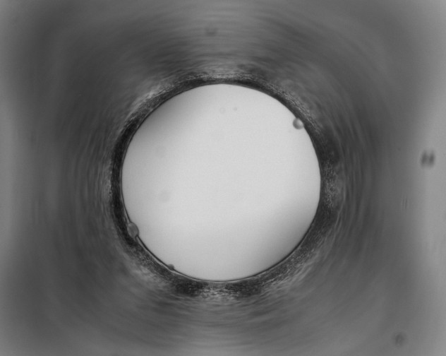 X0000097900207200804041445