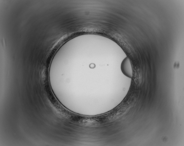 X0000097900208200804041445