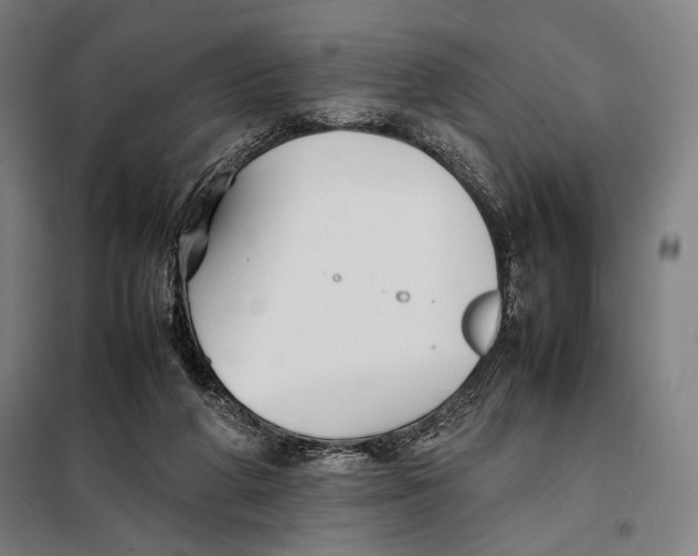 X0000097900210200804041445