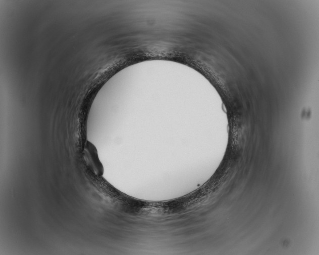 X0000097900211200804041445