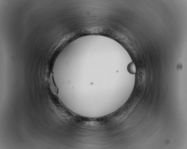 X0000097900212200804041445