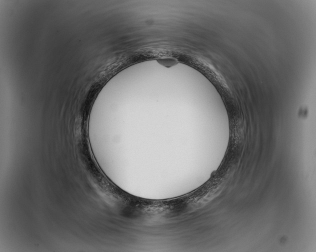 X0000097900213200804041445