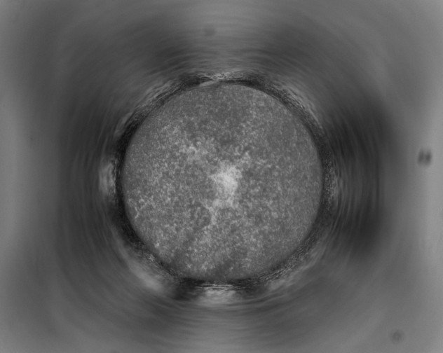 X0000097900214200804041445