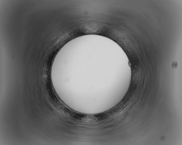 X0000097900215200804041445