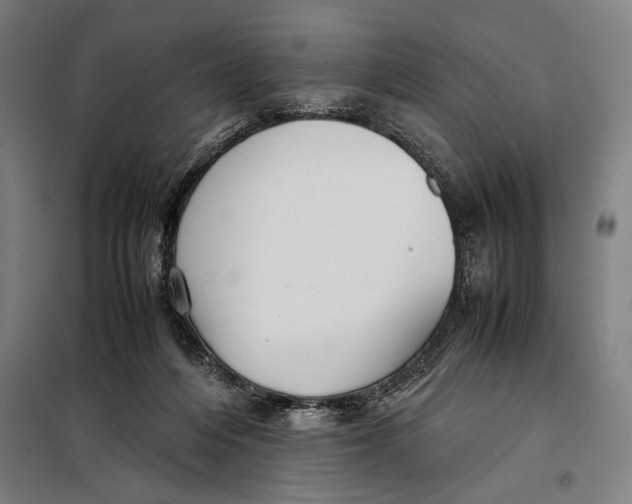 X0000097900216200804041445