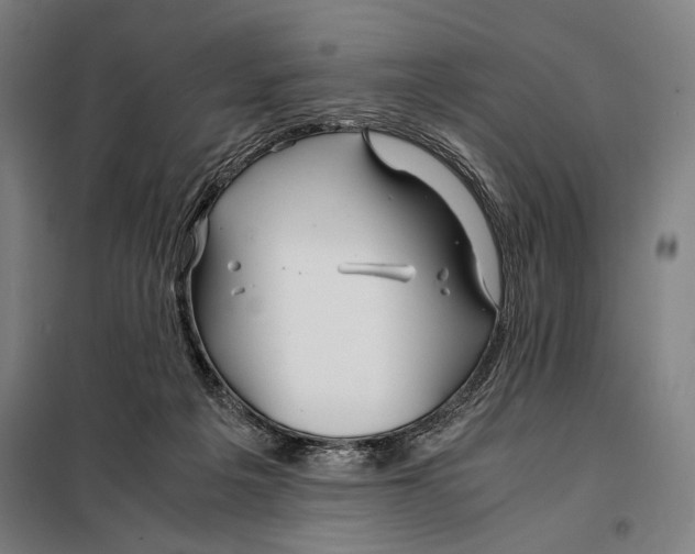 X0000097900217200804041445