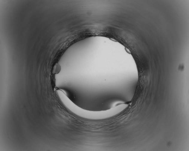 X0000097900221200804041445