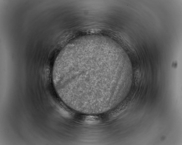 X0000097900222200804041445