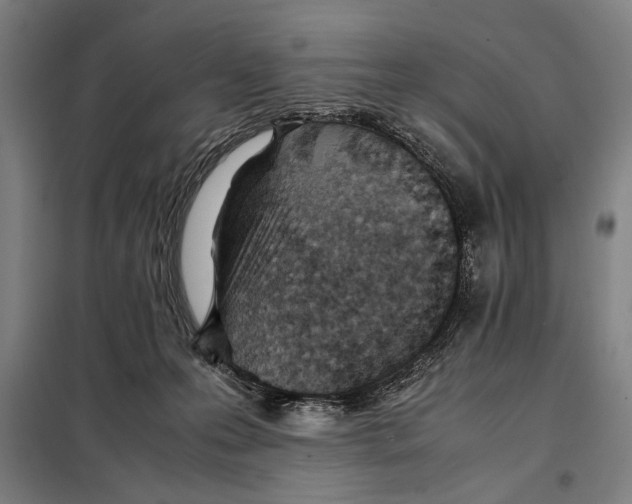 X0000097900223200804041445