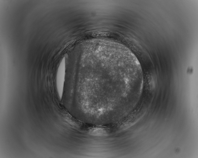 X0000097900224200804041445