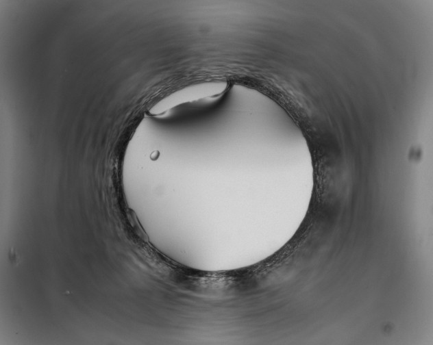 X0000097900225200804041445