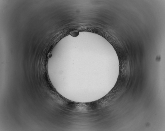 X0000097900226200804041445