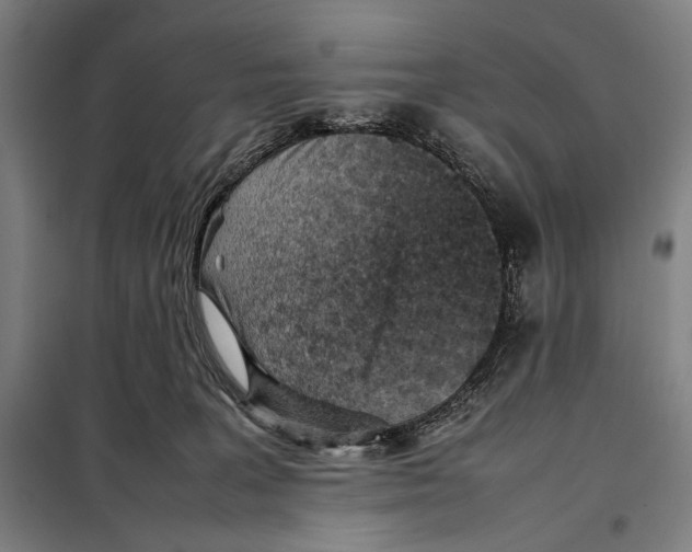 X0000097900227200804041445