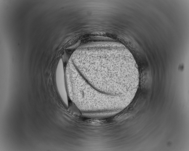 X0000097900229200804041444