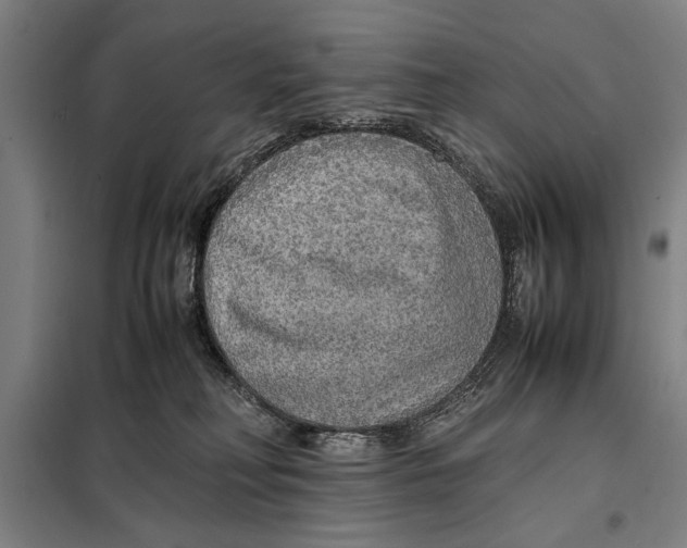 X0000097900230200804041444