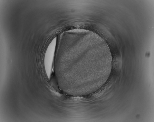 X0000097900233200804041444