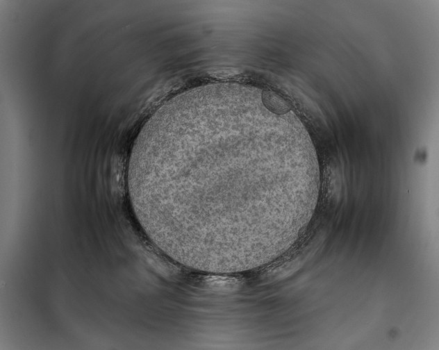 X0000097900234200804041444