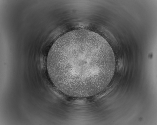 X0000097900236200804041444