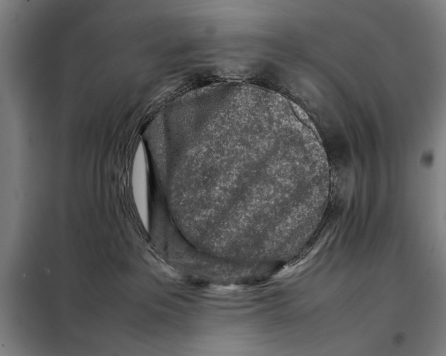 X0000097900237200804041444