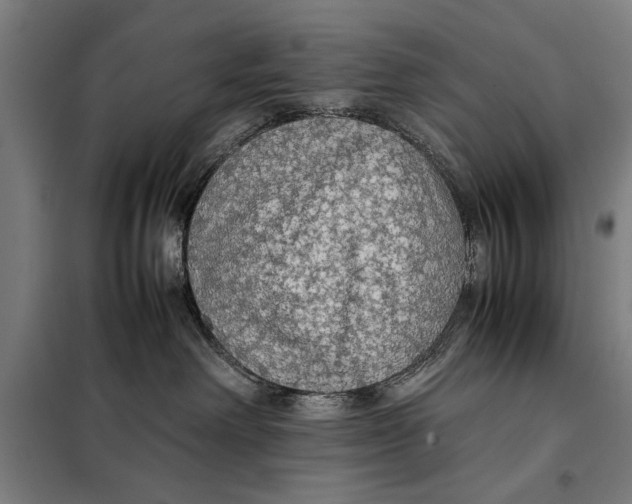 X0000097900238200804041444