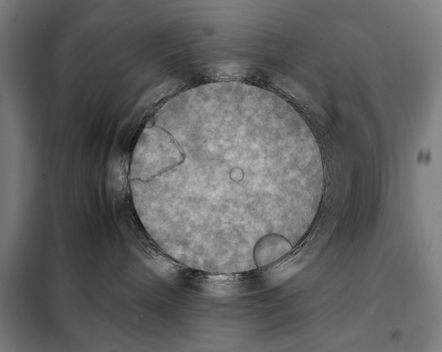 X0000097900240200804041444