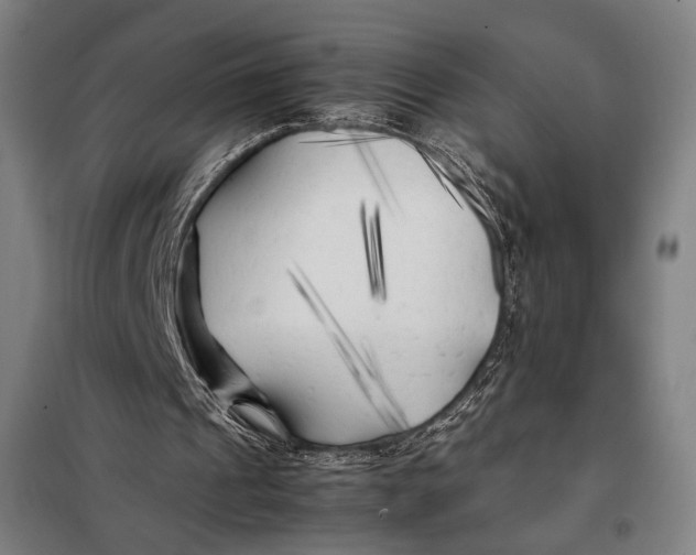 X0000097900241200804041444