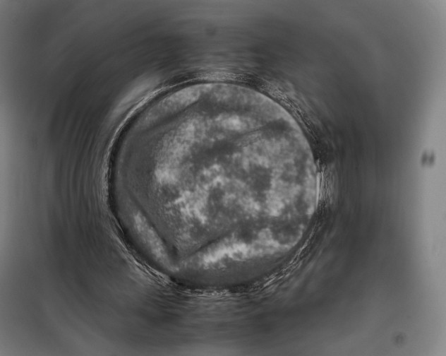 X0000097900243200804041444