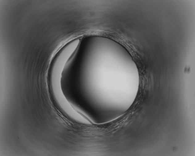 X0000097900244200804041444