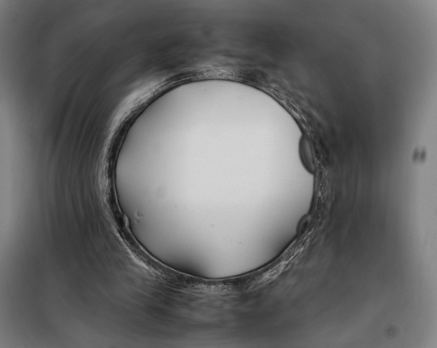 X0000097900245200804041444